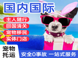 南洋机场物流国际宠物托运 【国